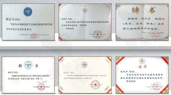 赵志力医生获得的个人荣誉