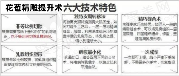 姚成红花苞<span style=