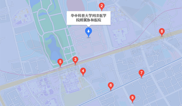 华中科技大学同济医学院附属协和医院周边公交站