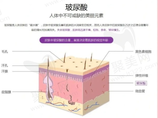 少女针和玻尿酸填充哪个好