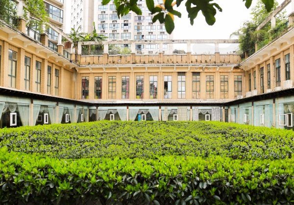重庆时光整形医院植发价格