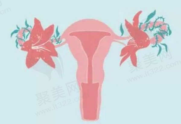 文婷医生做女性私密手术好吗