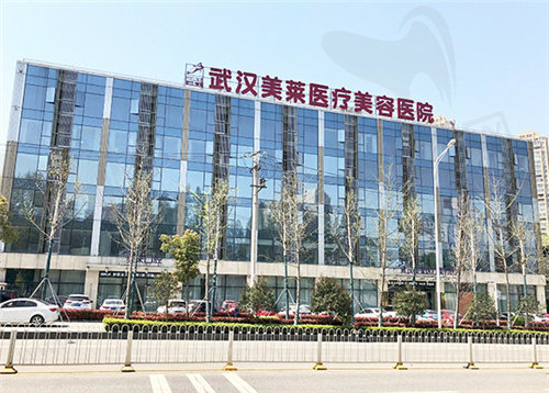 武汉美莱医疗美容医院做私密整形怎么样？