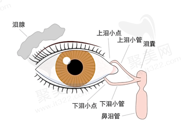 应该怎样诊断干燥性角结膜炎?