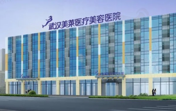 赵敬国：坐诊武汉美莱医疗美容医院