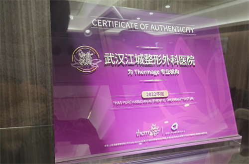 武汉江城整形外科医院公交乘车路线
