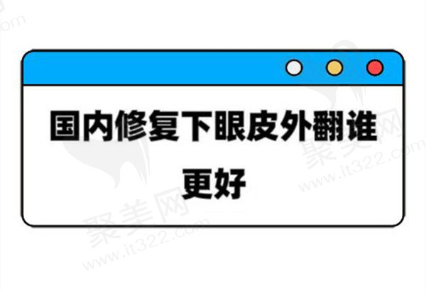 国内修复下眼皮外翻谁更好
