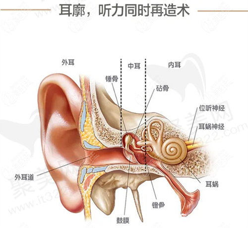 北京郭志华医生怎么样？