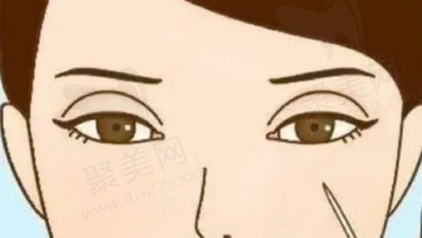 北京丰联丽格师丽丽价格 北京丰联丽格师丽丽价格