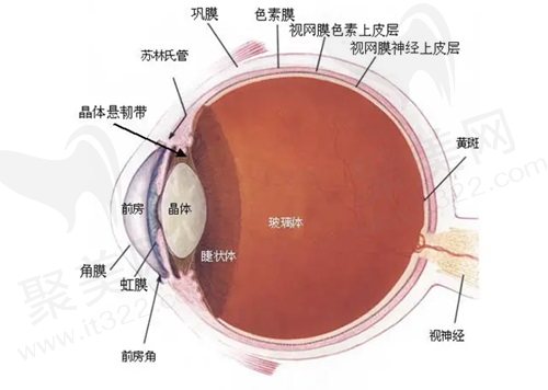 郑州尖峰眼科医院眼底病价格表