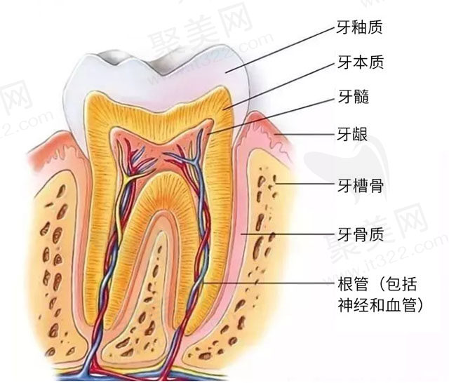 牙齿美白的那些事儿
