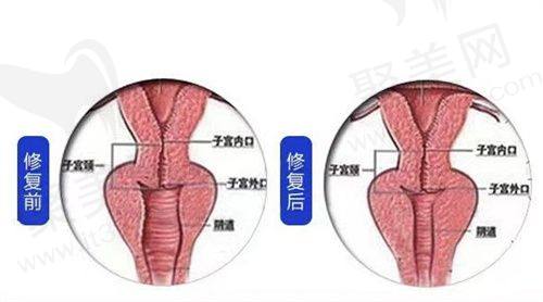 一、济南诺德医疗美容医院是三等甲医院吗，资质及成就介绍