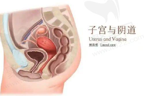 三、济南诺德医疗美容医院的患者实例评价