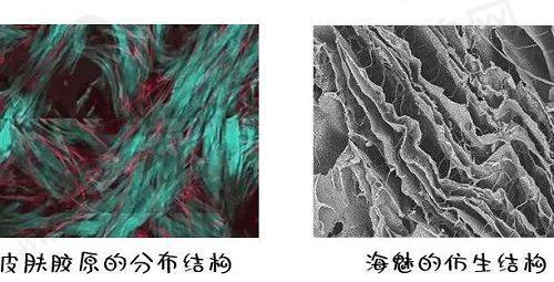 到院预约