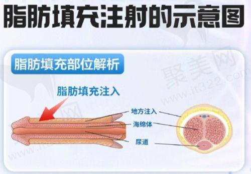 六、成都八大处整形医院医生收费价目表