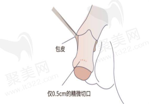 二、南医 大友谊整形医院擅长项目和技术优势