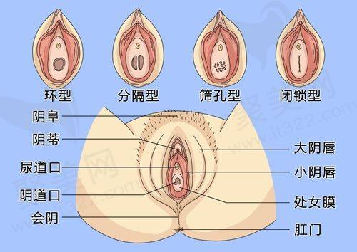 四、南京医科大学友谊整形外科医院详细地址及信息