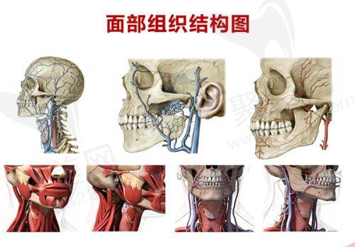 重庆肖林做正颌有失败例子吗？