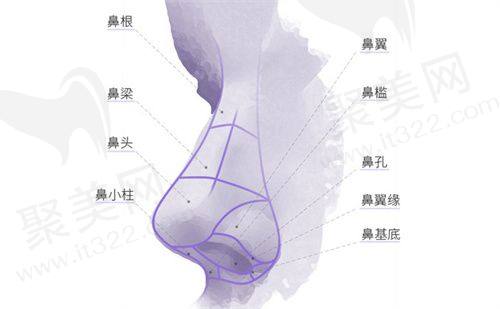 常州新海派苏广美医诊疗技术怎么样？