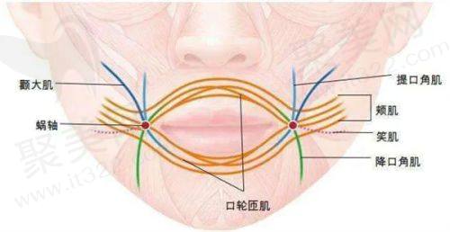 一、成都八大处整形医院的基本信息