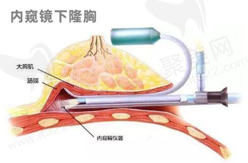 5. 皮肤管理项目价格明细