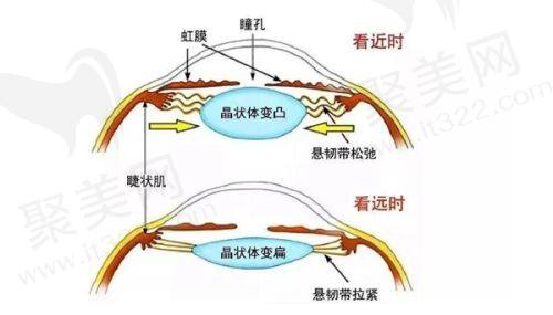 四、广州艺星医疗美容医院在哪儿？医院详细情况及交通线路