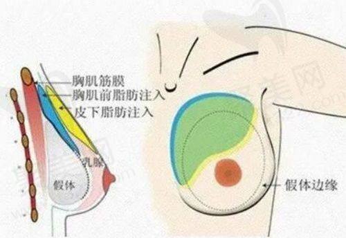 初次面诊大连爱德丽格刘志刚院长的感受