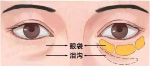 六、南京医科大学友谊整形外科医院医生收费价目表