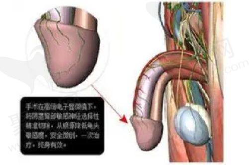 六、[某]医疗美容门诊部（因原文未提及名称，暂用此表述）
