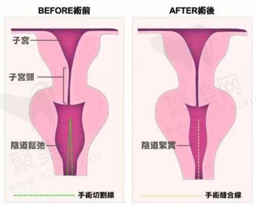 四、南京医科大学友谊整形外科医院详细地址与来院路线