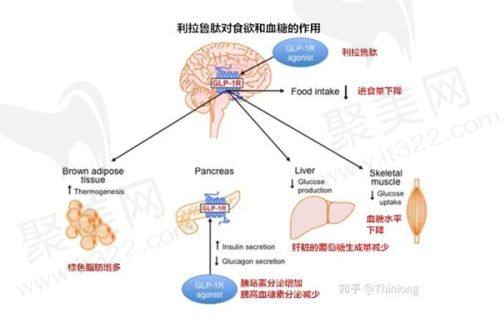 除了最近的地铁站,还有其他选择吗?