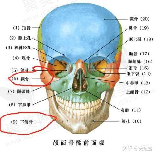 如何看待李继华颧骨颧弓内推的价格