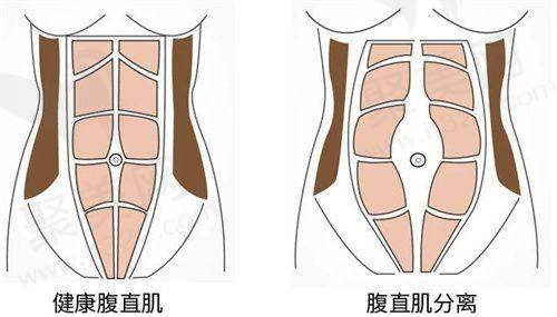 整形行业的整体情况