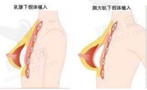 三位医生的综合对比与选择建议