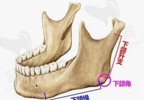 一、重庆艺星与华美整形医院的详细介绍