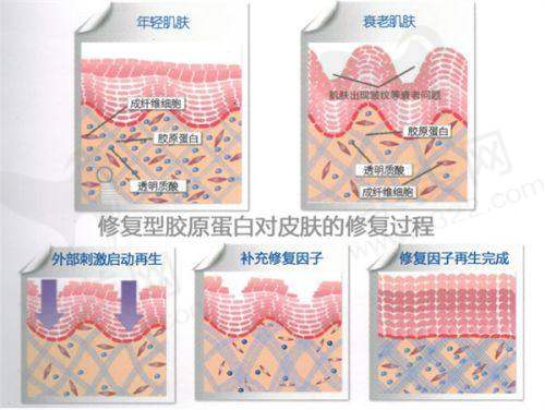 三、重庆军科整形医院的特点与优势