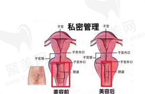 精良的设备与多样的技术