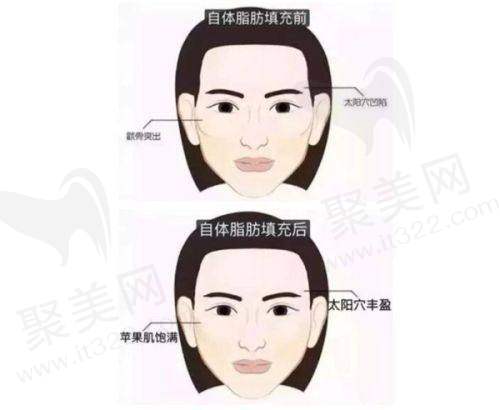 二、重庆艺星的技术和项目优势