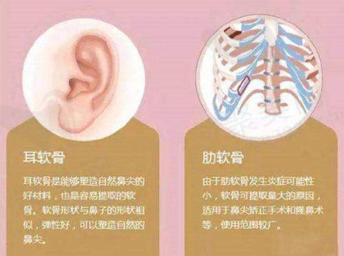 3. 到院预约