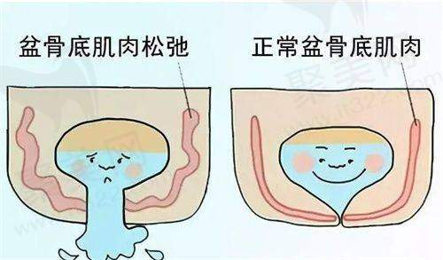 上海做鼻子有医生生之经验多型代表有谁？