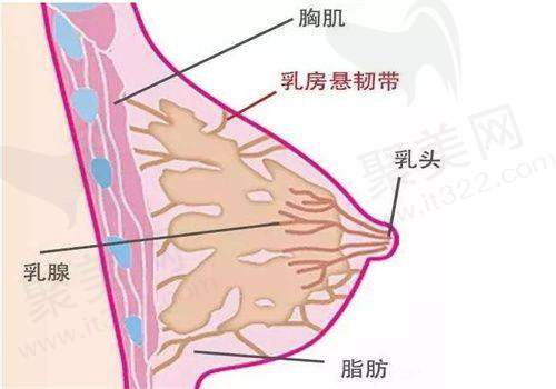 重庆艺星朱星蓉注射嗨体熊猫针，优质服务保护