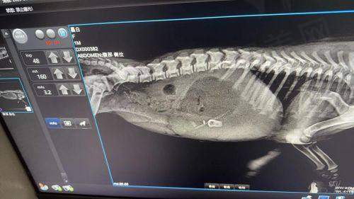 五、李方奇和王绍国患者反馈及口碑对比