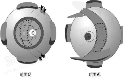 三、大连爱德丽格医生团队，专精吗？
