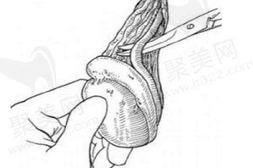 国内半岛超声炮官网认证机构名单及真伪辨别——太原地区认证机构