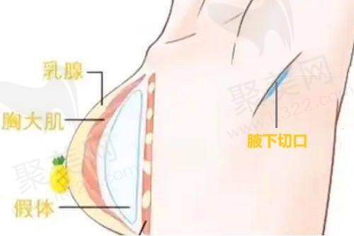 二、南京市康美整形医院医生团队风采