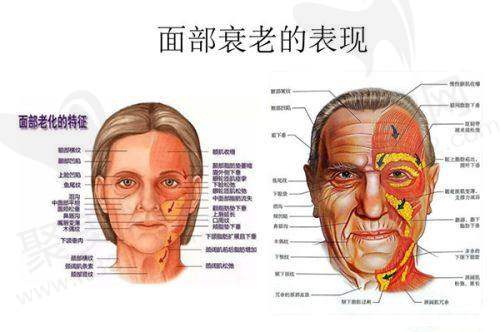 华美整形美容医院24小时咨询电话揭秘！各地号码、预约方式及常见问题全知晓