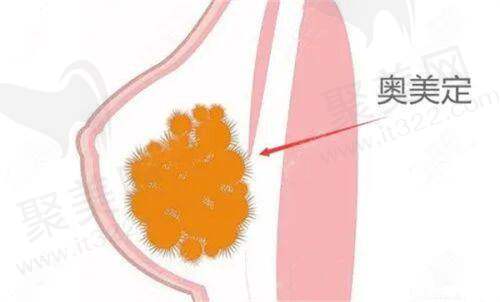 深圳国有医院整形科排名