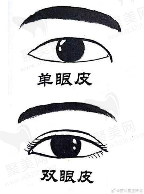 五、为什么选择成都黄小林医生