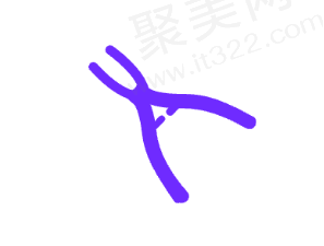 四、深扒成都医大口腔的三大底气