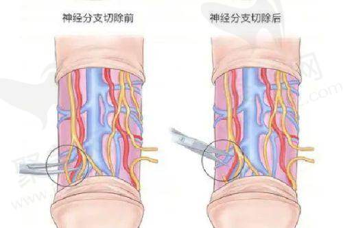 五、苏州柏达丽医疗美容门诊部价格表：（仅供参考）